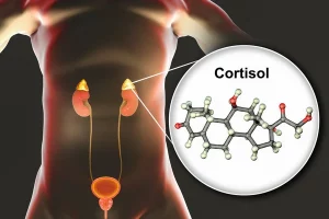 cortisol-hormones