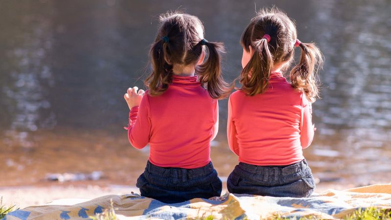twin gene study